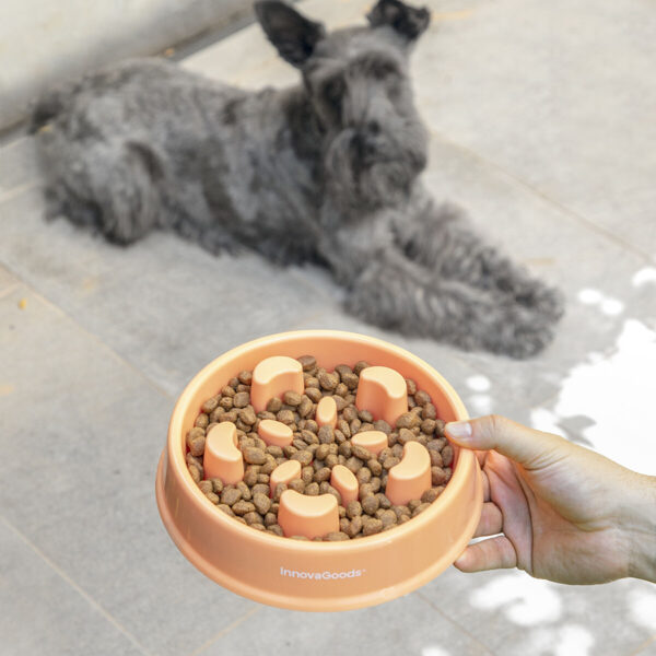 Matskål för att hunden ska äta långsamt